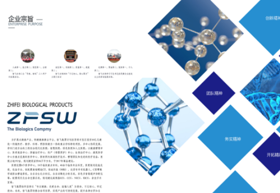 宣传手册翻译机构-北京正规翻译公司-手册翻译供应商