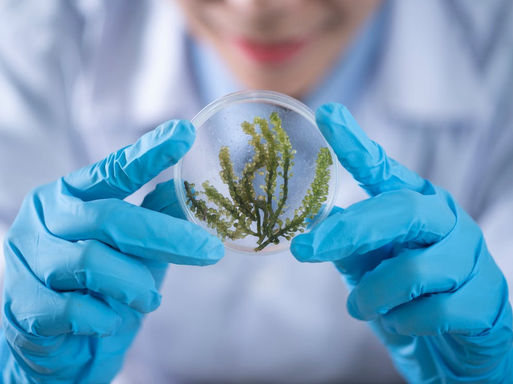 生物科技.jpg