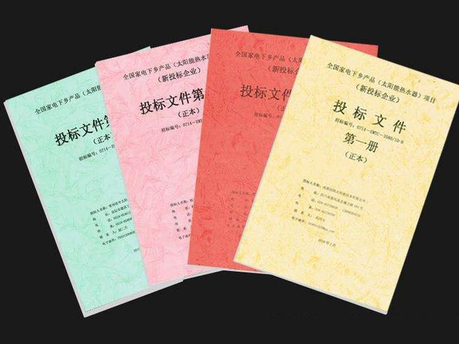 投标书翻译.png